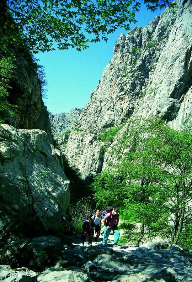 Apartmani Goga Starigrad Paklenica Luaran gambar