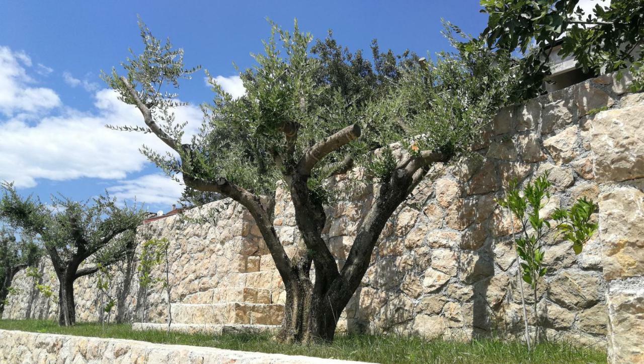 Apartmani Goga Starigrad Paklenica Luaran gambar